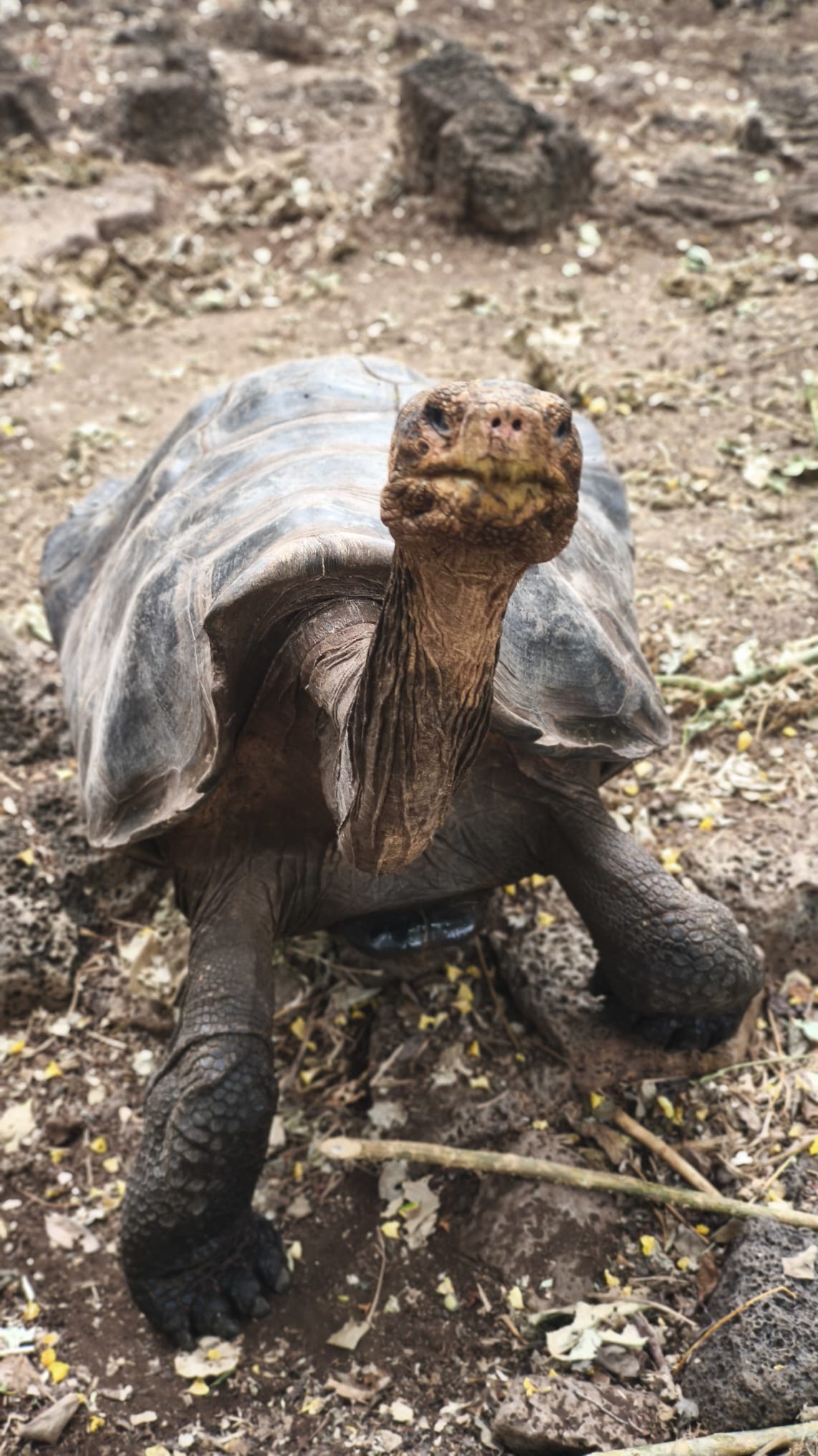Viaggio Ecuador e Galapagos